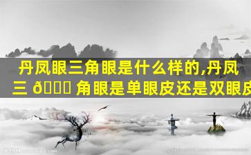 丹凤眼三角眼是什么样的,丹凤三 🐅 角眼是单眼皮还是双眼皮